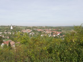 p1100141